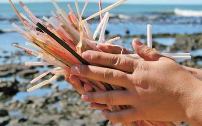 Is Your Business Ready for the Plastic-Free Travel Trend?